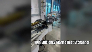 Scambiatore di calore coassiale di livello industriale per uso marino
